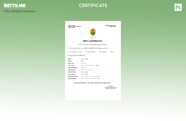 модерен стил извод од матична книга на родените во Тимор исток Шаблон за Word и 